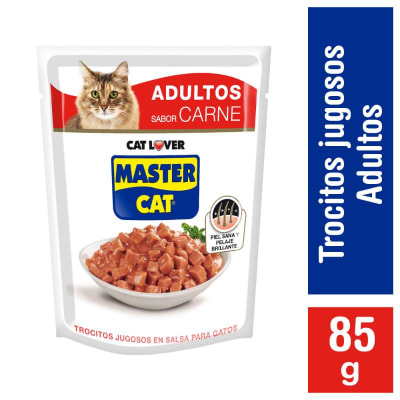 MASTER CAT 85 GRS. POUCH CARNE