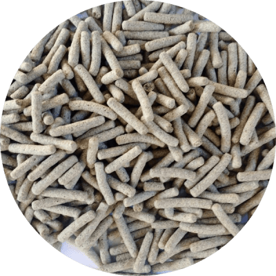 ALIMENTO PARA TORTUGAS