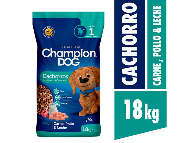 CHAMPION DOG CACHORRO1