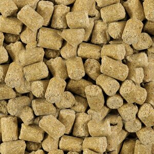 MAZURI HAMSTER & JERBO DIET 350 grs2