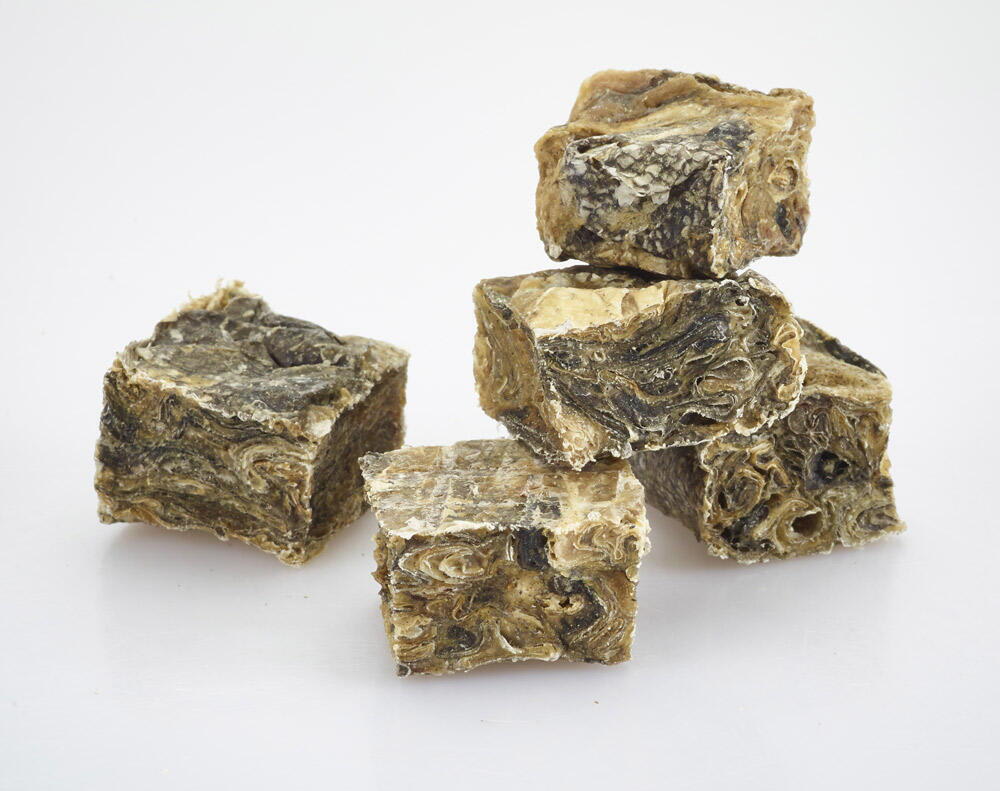 FISH4DOGS 100 GRS. SNACK2