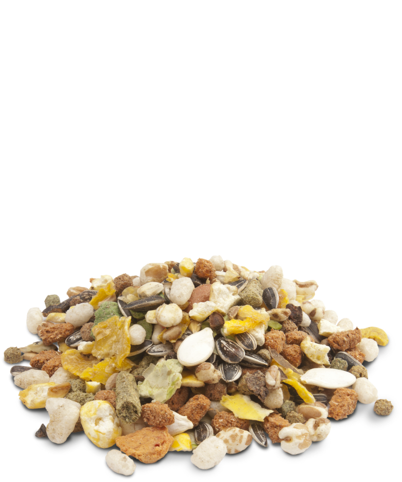 CRISPY MUESLI ALIMENTO HAMSTER2