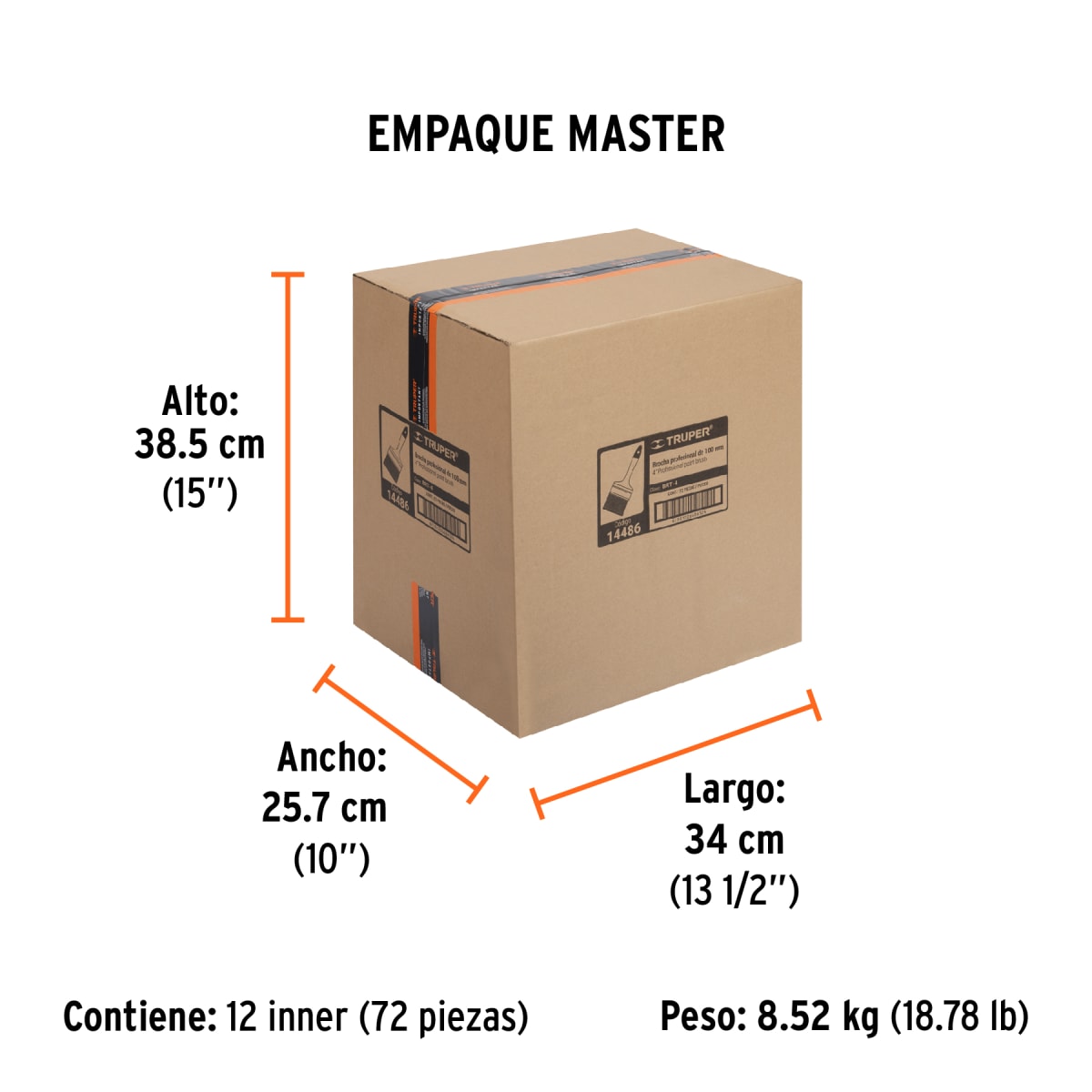 Brocha Profesional 4