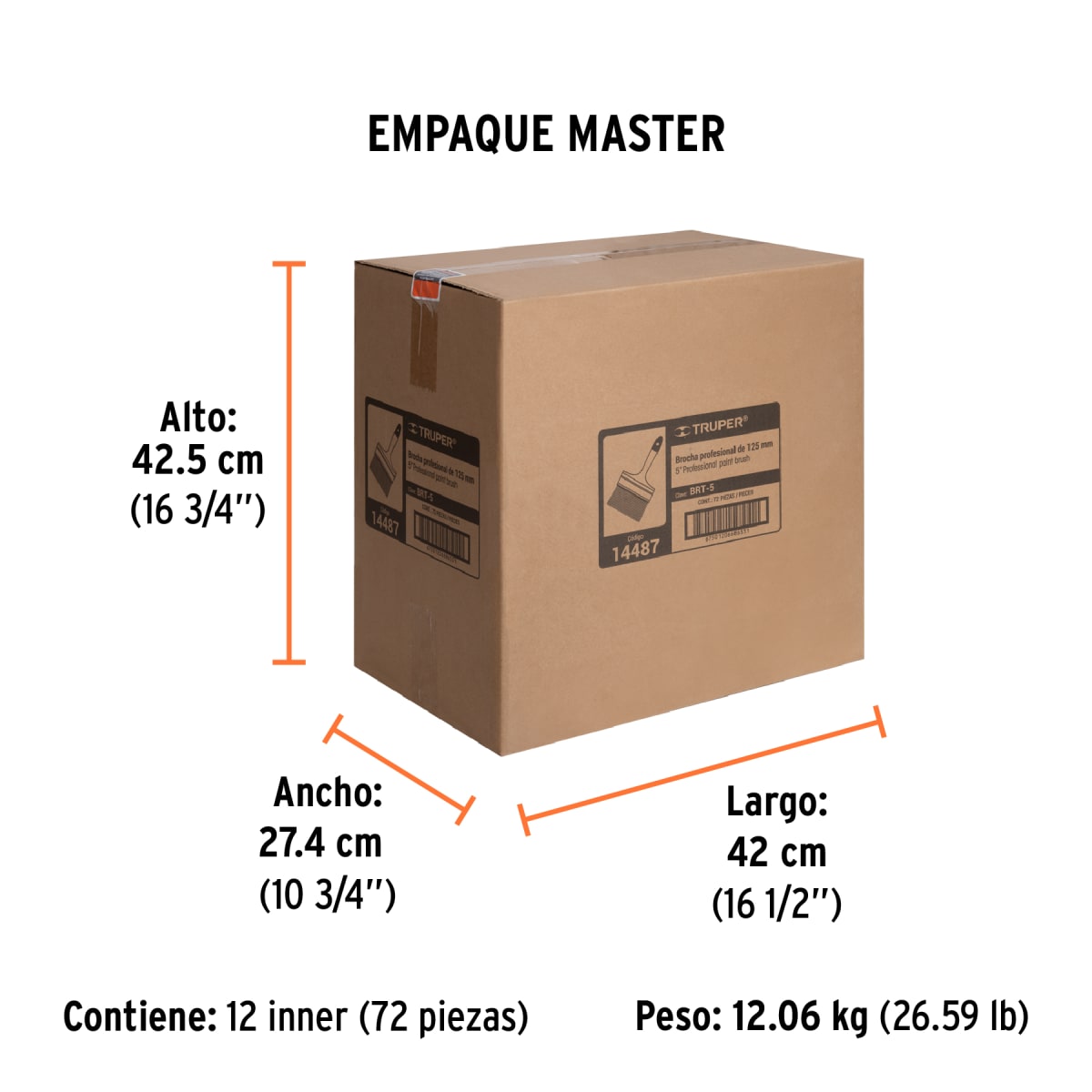 Brocha Profesional 5