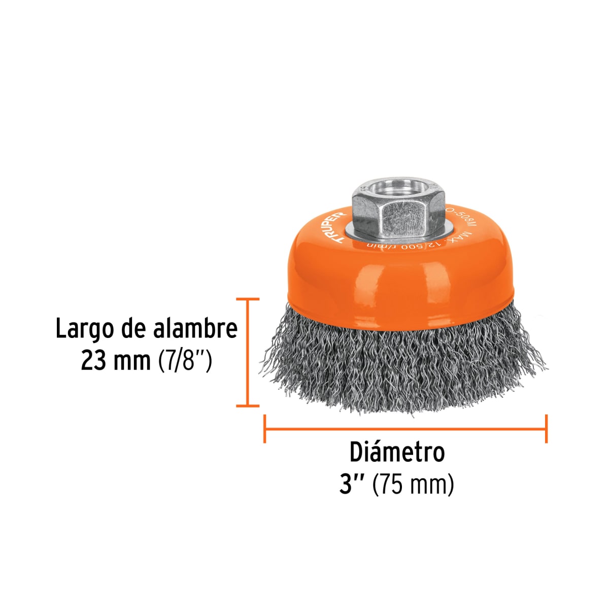 Escobilla Tipo Copa 3