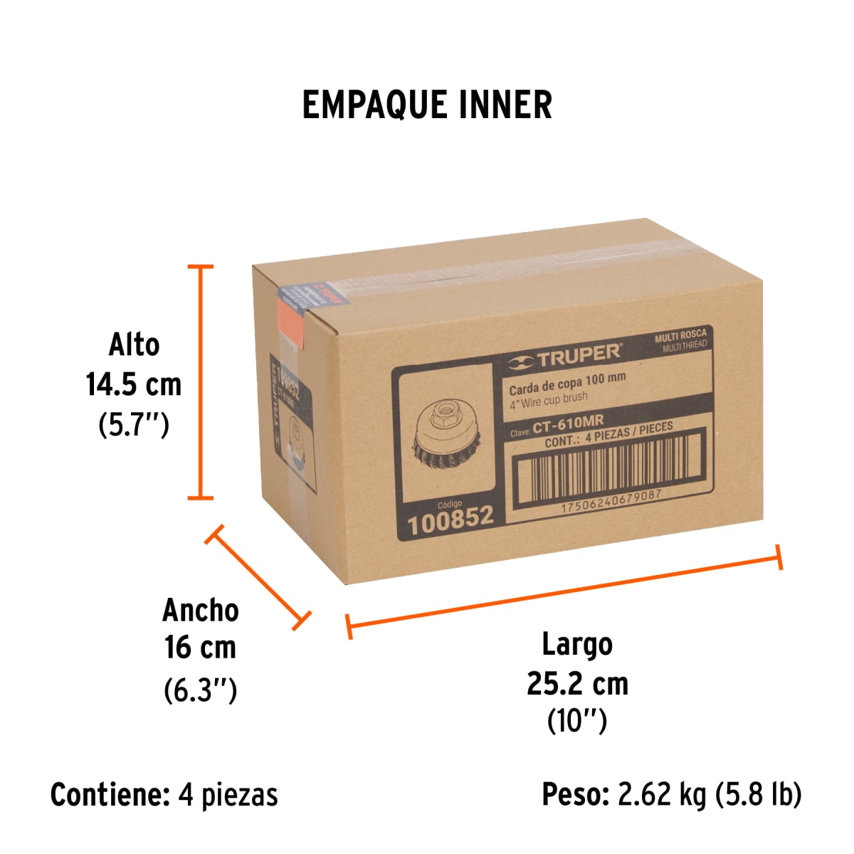 Escobilla Tipo Copa 4