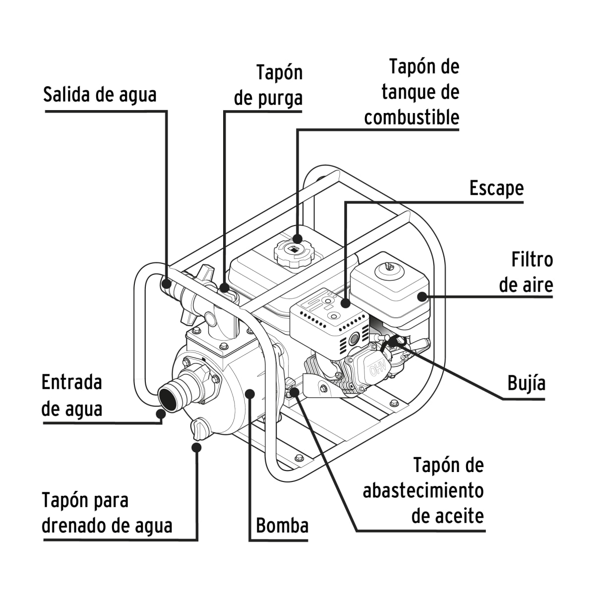 Motobomba Autocebante 3
