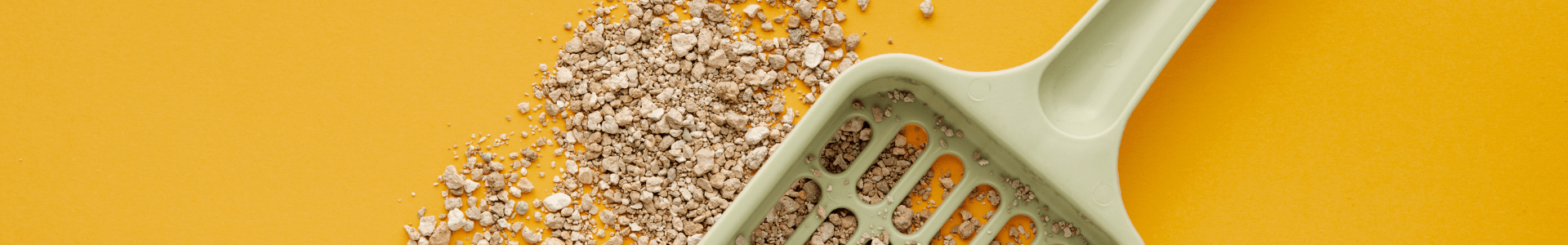 .4 Higiene y limpieza