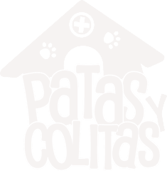 P&C
