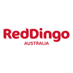 Red Dingo