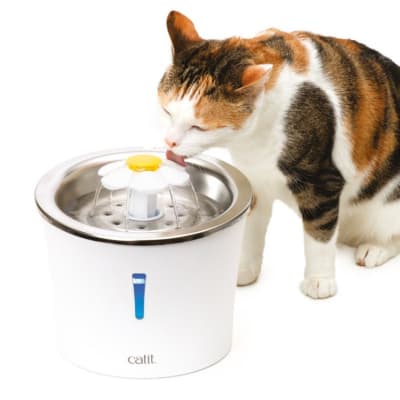 Cat it Fuente de agua de acero inoxidable