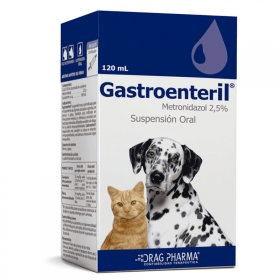 Jarabe Gastroenteril 100 ml