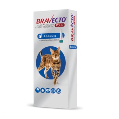 Antipulgas Bravecto Plus gato