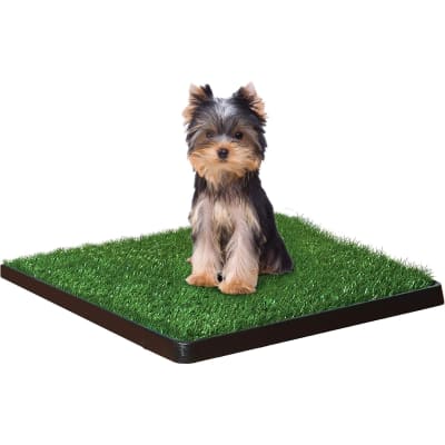 BAÑO PARA PERRO FOUR PAWS WEE-WEE PATCH
