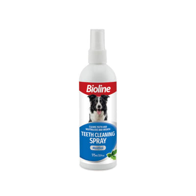 BIOLINE SPRAY DENTAL LIMPIADOR X 175 ML