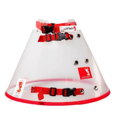 Collar Isabelino Coplasti