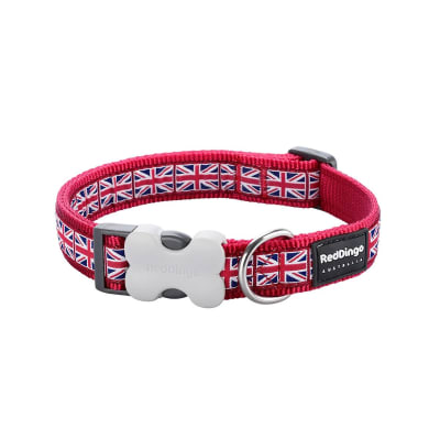 Dog Collar Design Red Dingo Union Jack Flag on Red
