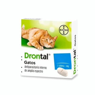 Drontal gato