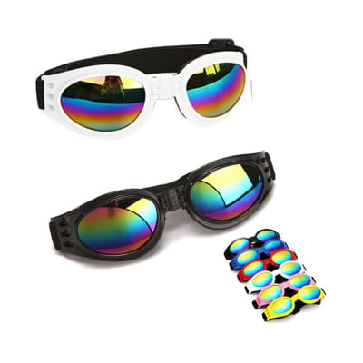 LENTES PARA PERRO