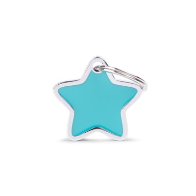 PLACA CHARMS ESTRELLA PEQUEÑA