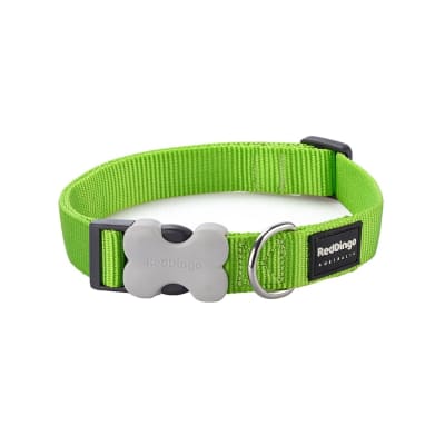 Dog Collar Plain Red Dingo Classic Lime Green