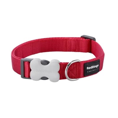 Dog Collar Plain Red Dingo Classic Red