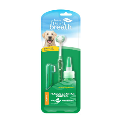 Tropiclean Kit dental canino