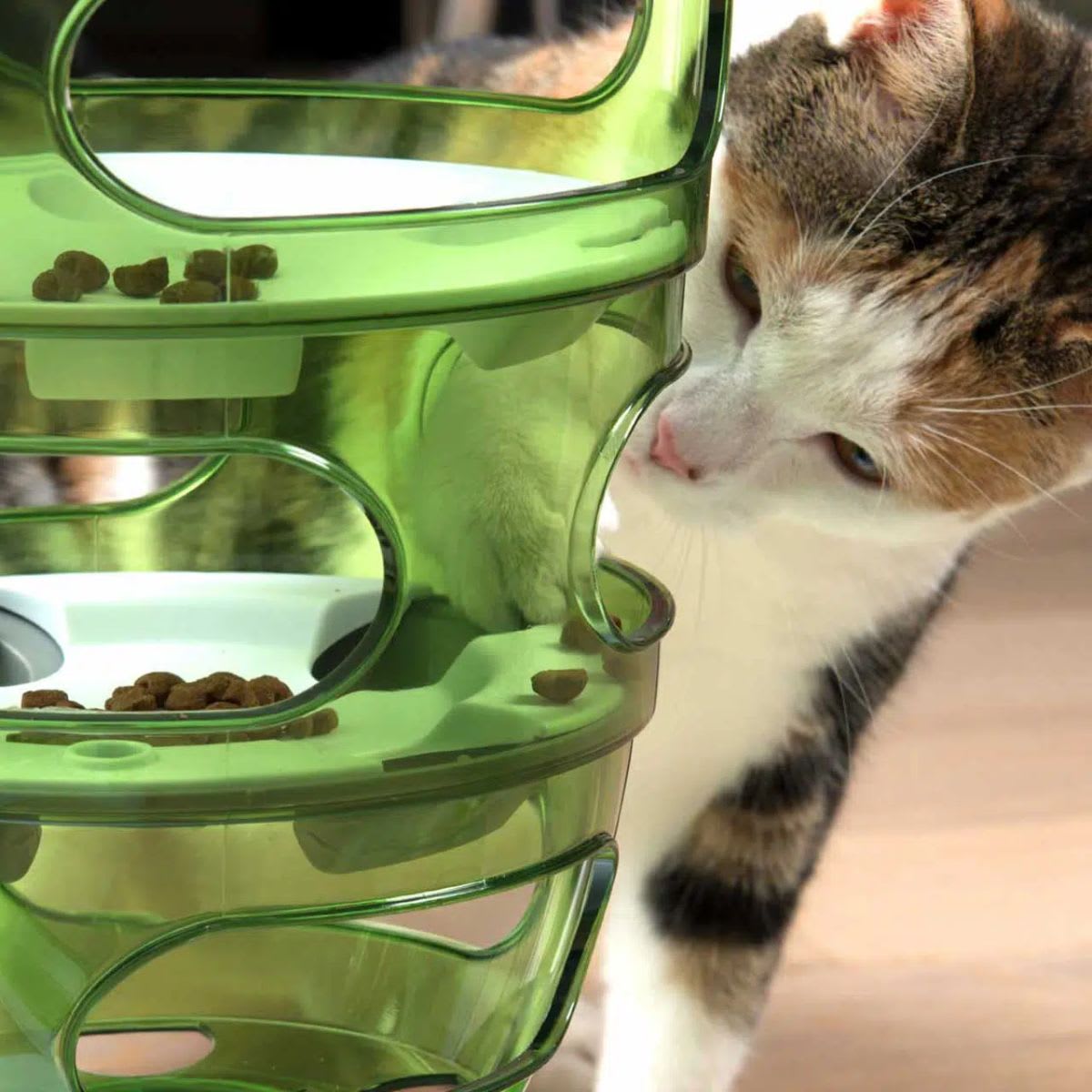 Cat it Senses 2.0 food tree2