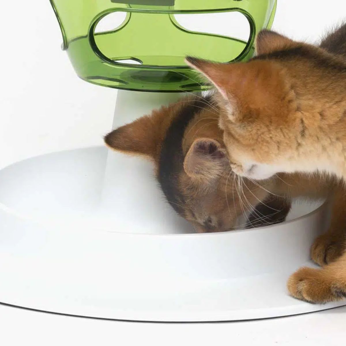 Cat it Senses 2.0 food tree3