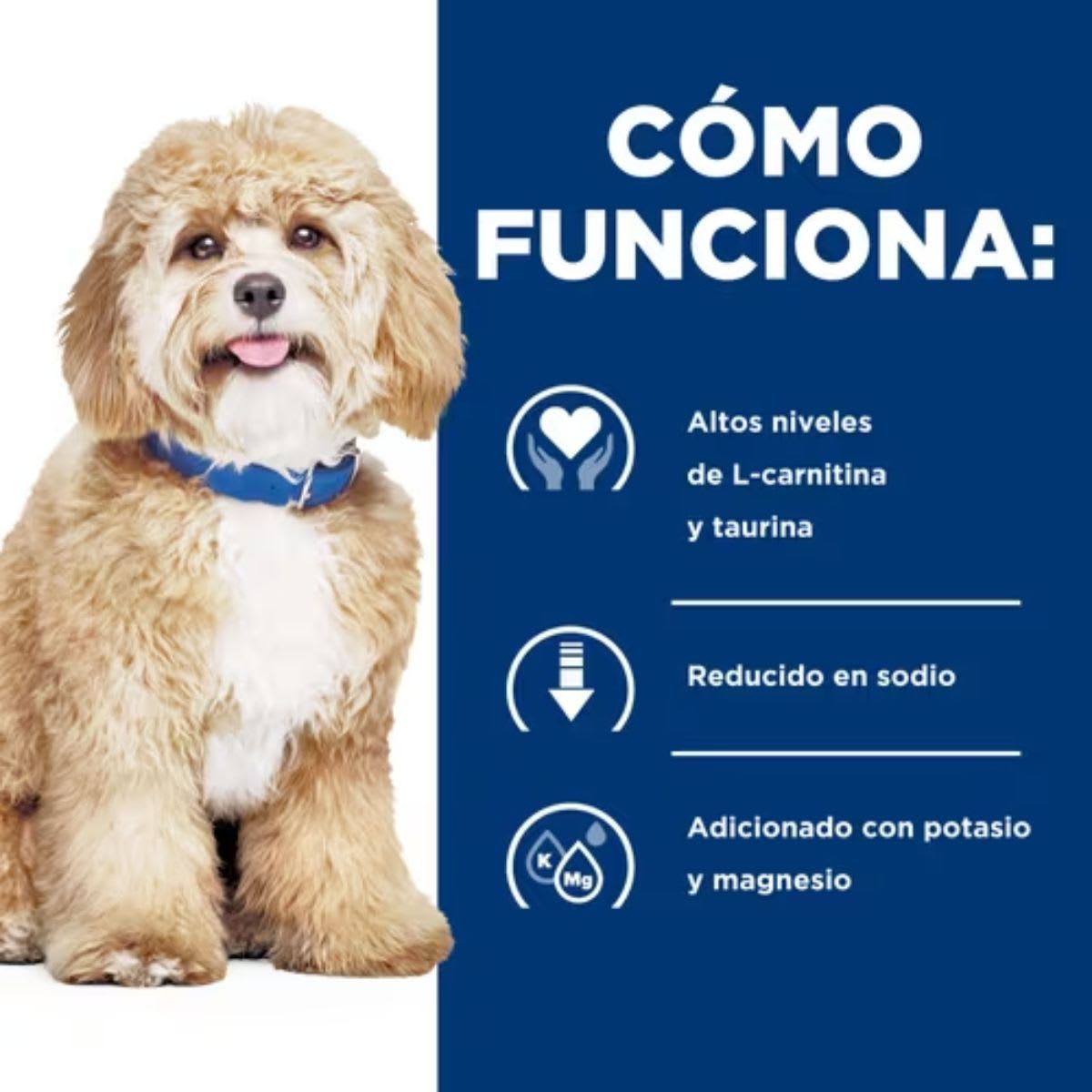 Hills PD Canine h/d 1.5 kg3