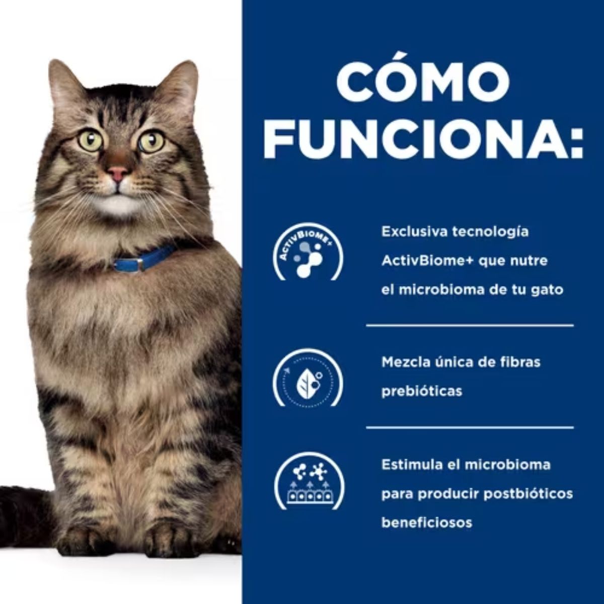Hills PD Feline Gastro Biome 1.8 kg3