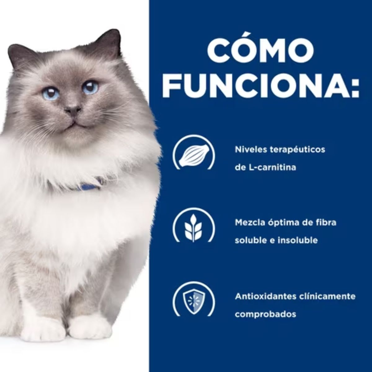 Hills PD Feline r/d 1.8 kg3