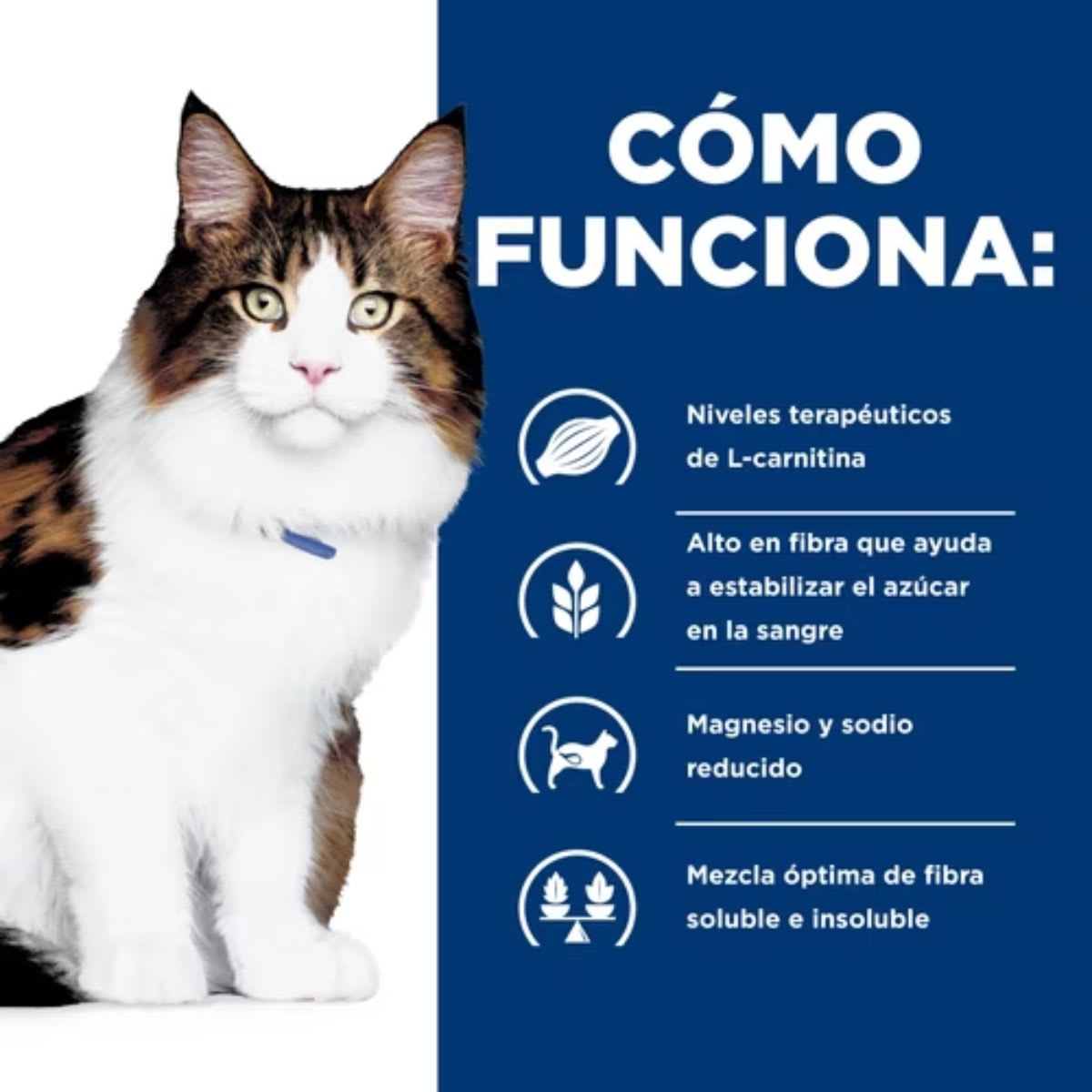 Hills PD Feline w/d 1.8 kg3