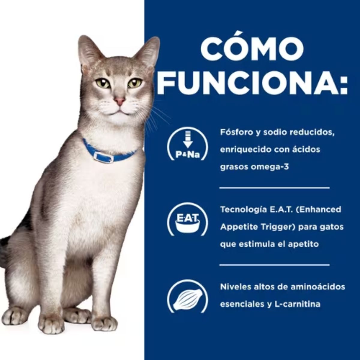 Hills PD Feline k/d 1.8 kg3