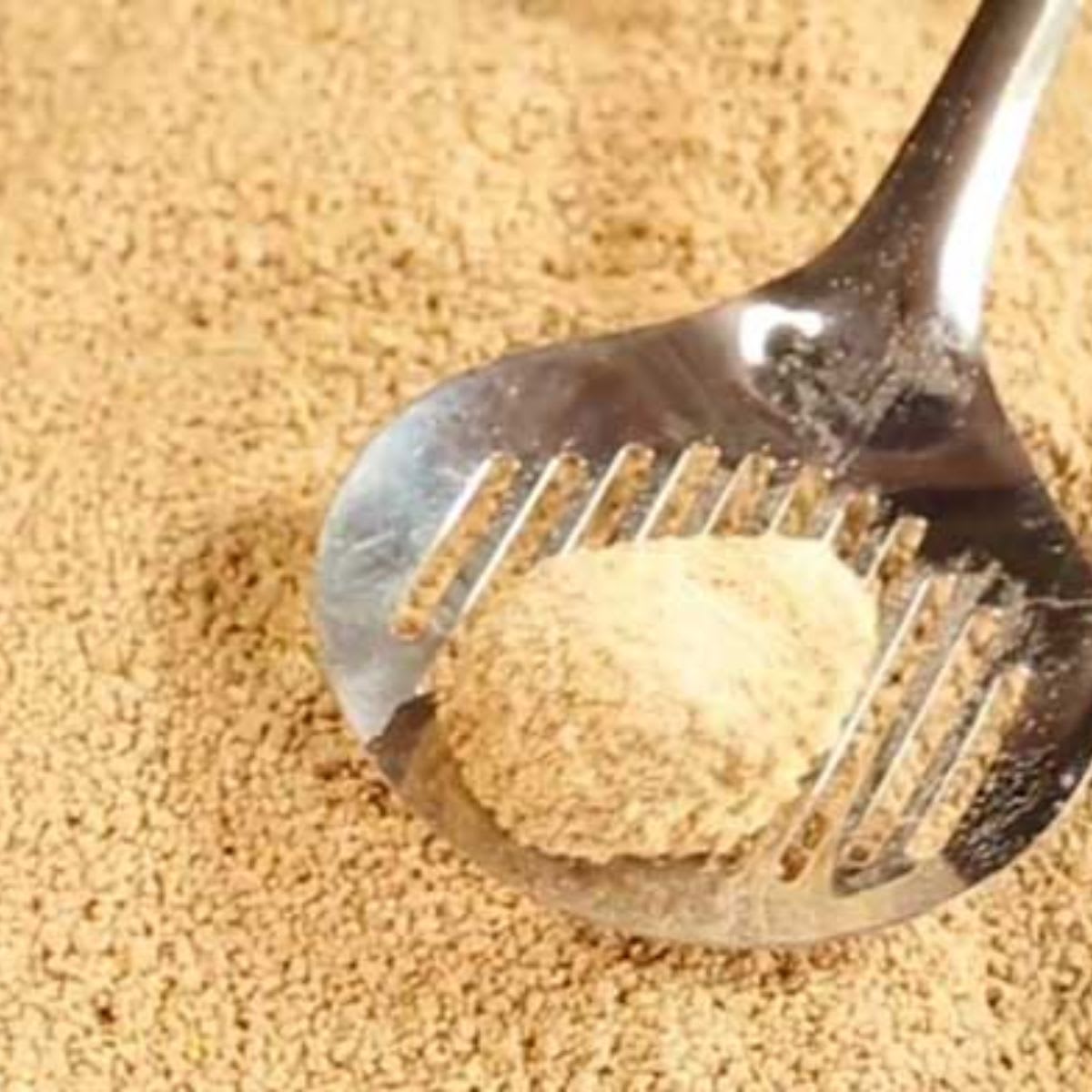 Arena WBCL Multiple Cat Clumping2