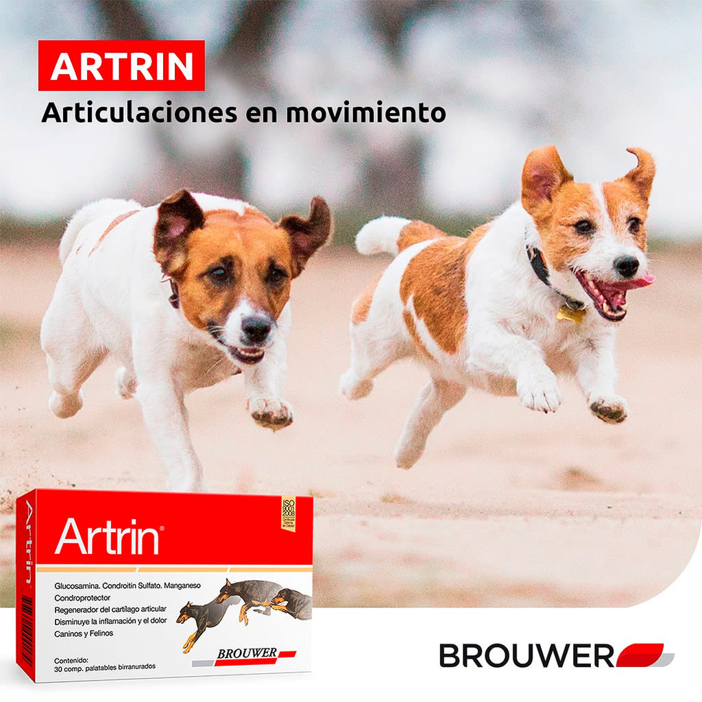 Artrin2