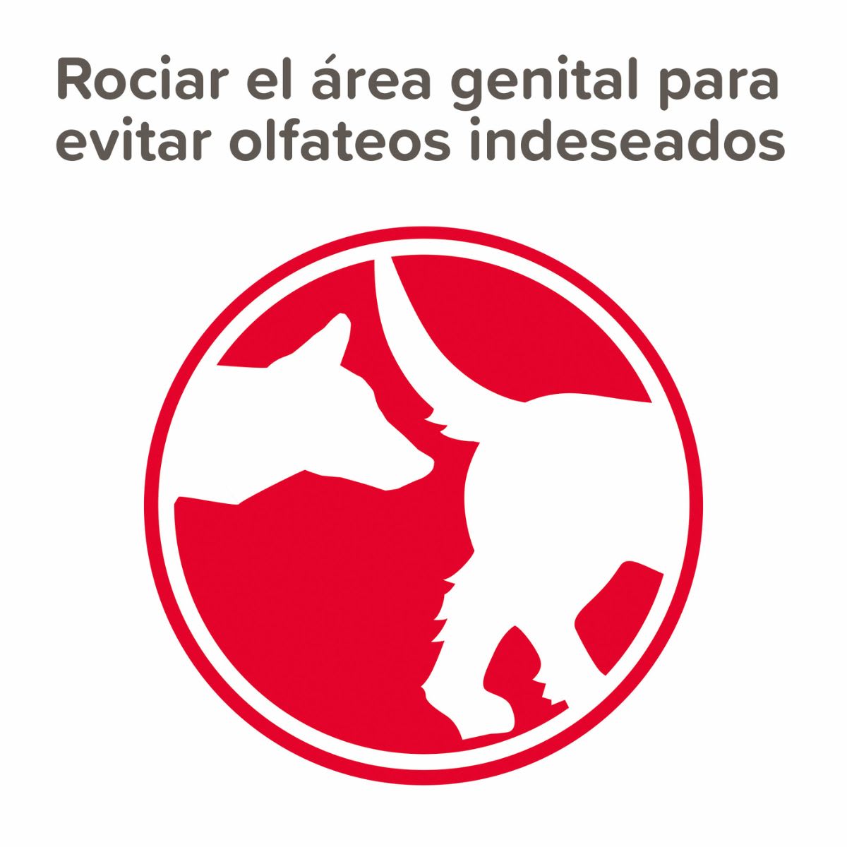 Beaphar No Love spray 50 ml2