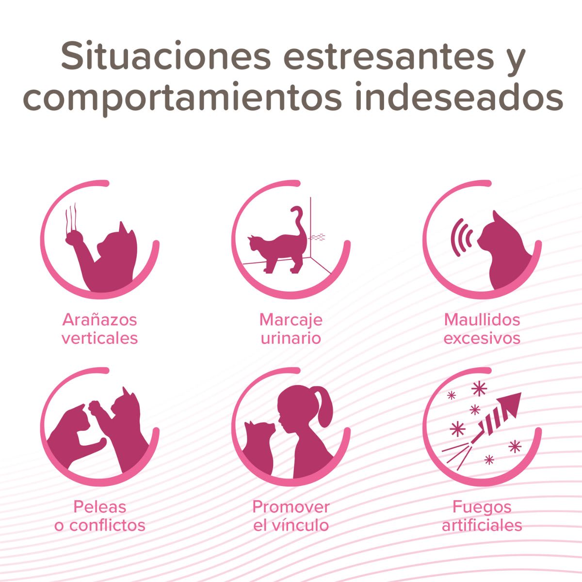 Beaphar CatComfort Excellent Starter Kit3