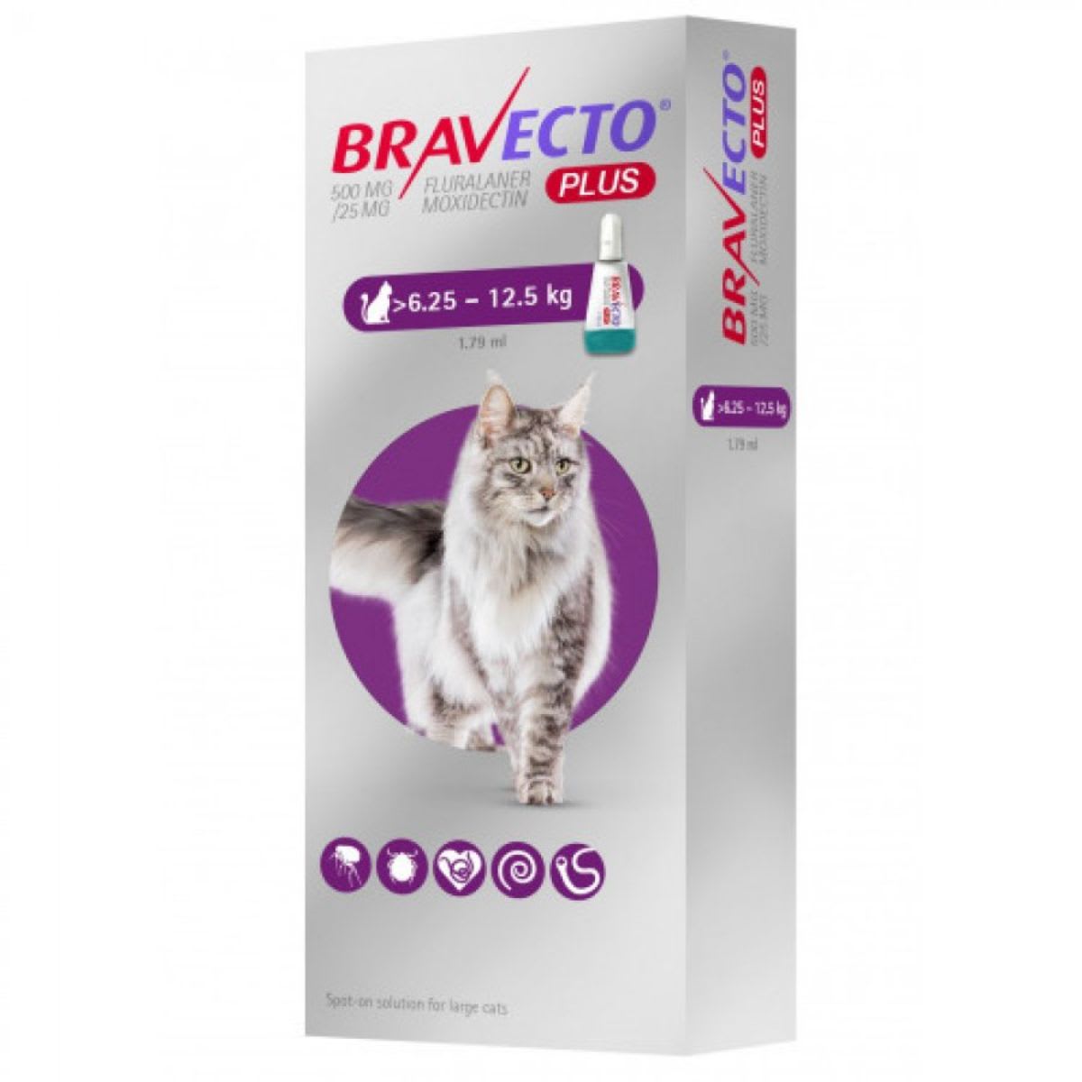 Antipulgas Bravecto Plus gato2