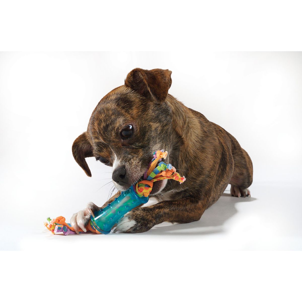 Juguete Petstages 247 Dental chew pack mini3