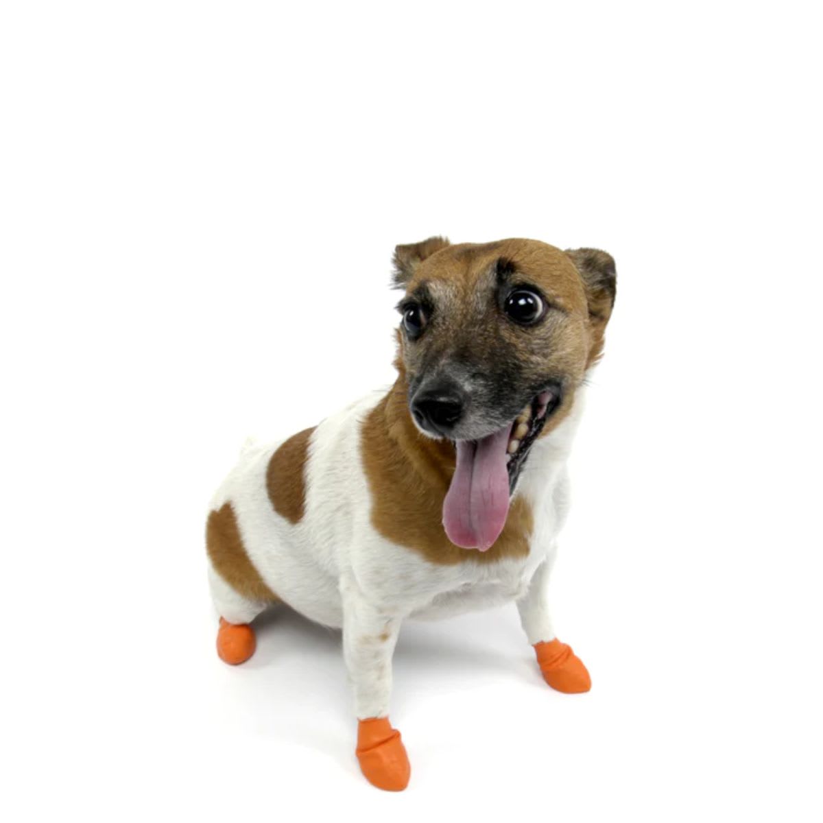 Botas Pawz XS4