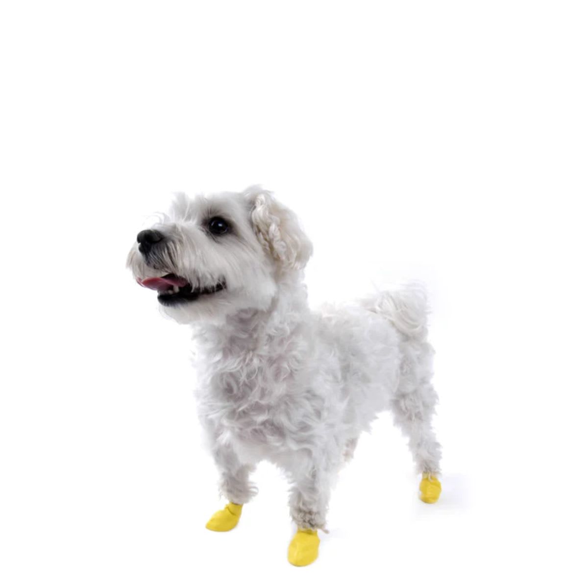 Botas Pawz XXS3