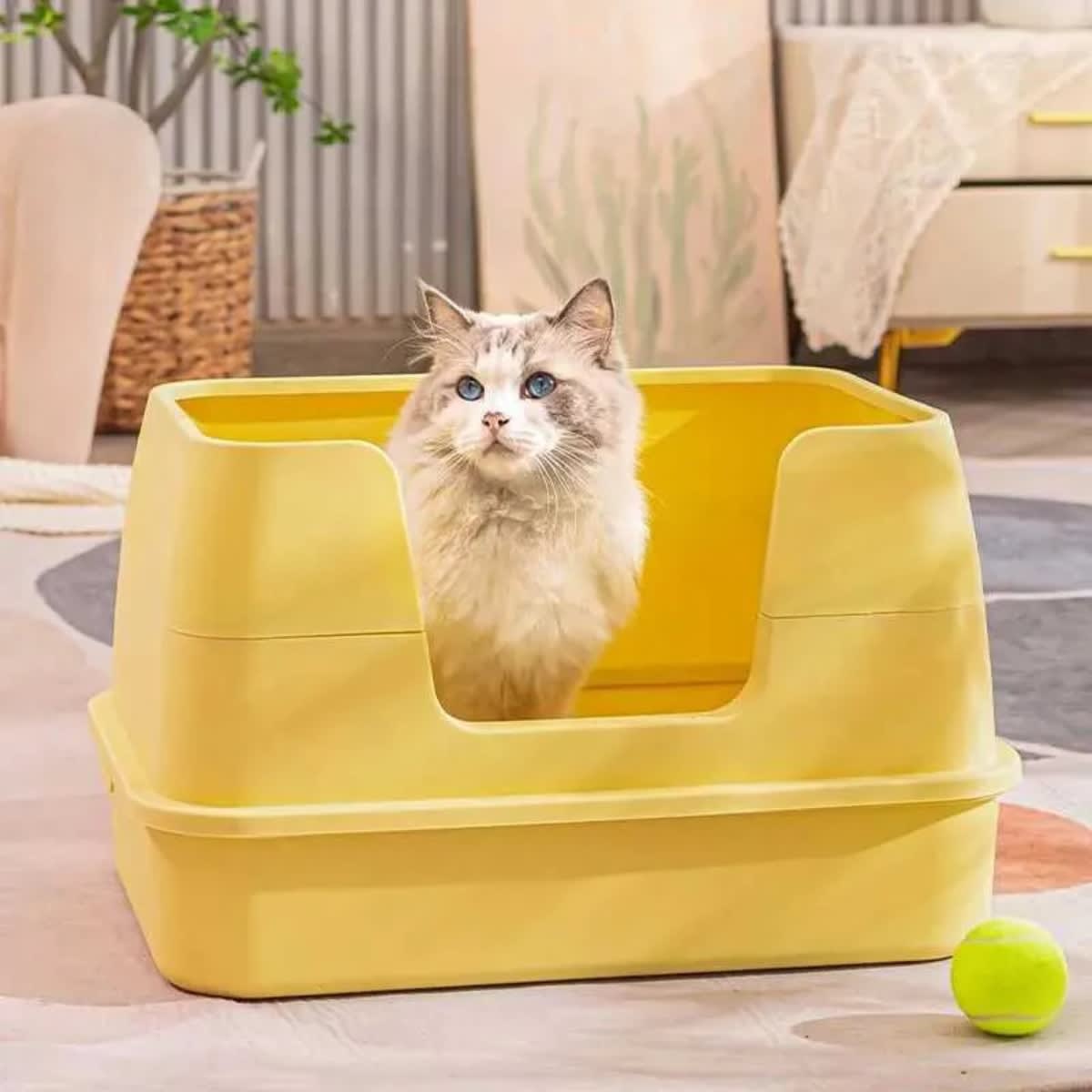 BANDEJA GRANDE PARA GATO (CSG8700030)2