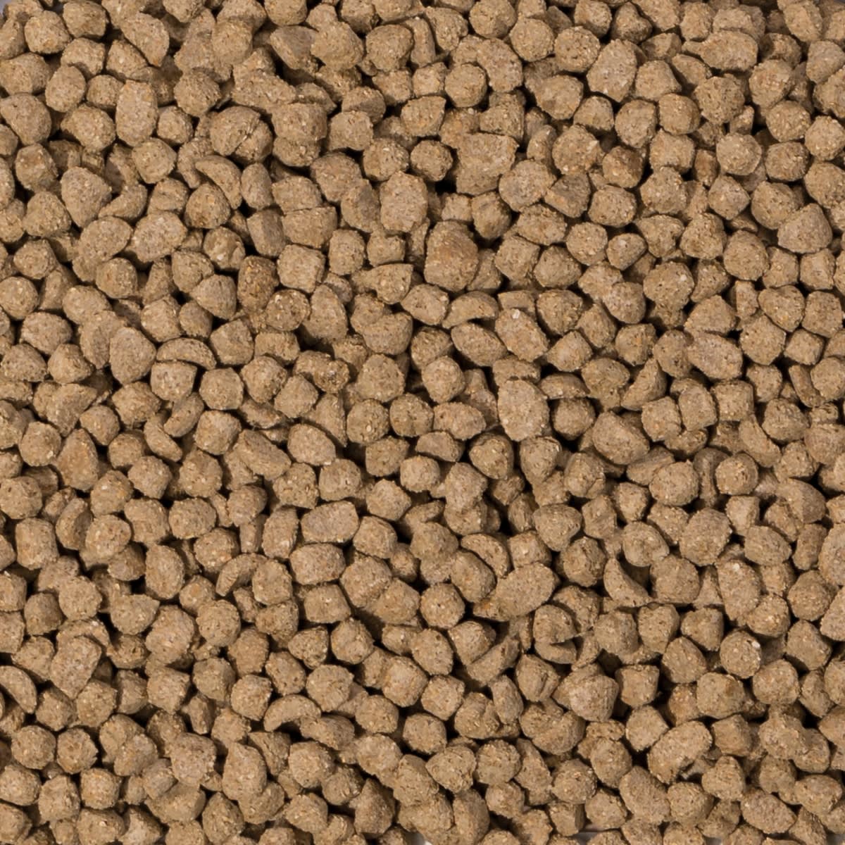 BEAPHAR CARE+ RABBIT JUNIOR 1.5 KG2