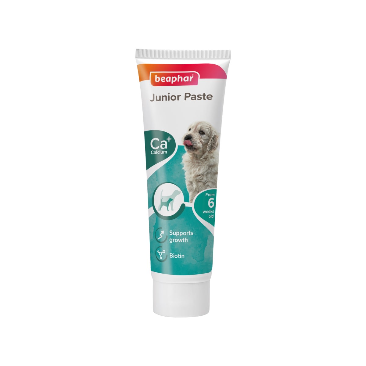 Beaphar Duo Junior Paste 100 g1