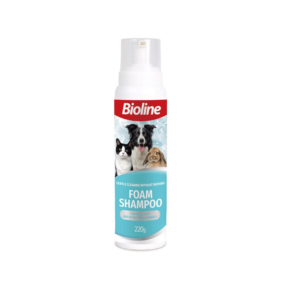 BIOLINE SHAMPOO EN ESPUMA X 220 GR1