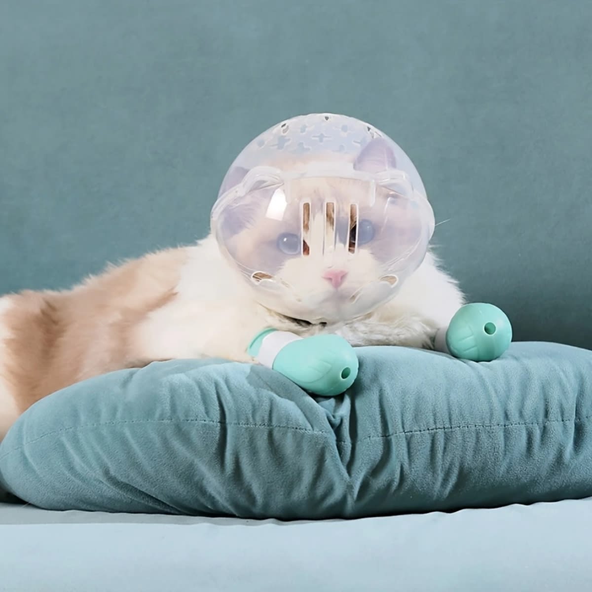 BOZAL PARA GATO MODELO CAPSULA BLANCO4