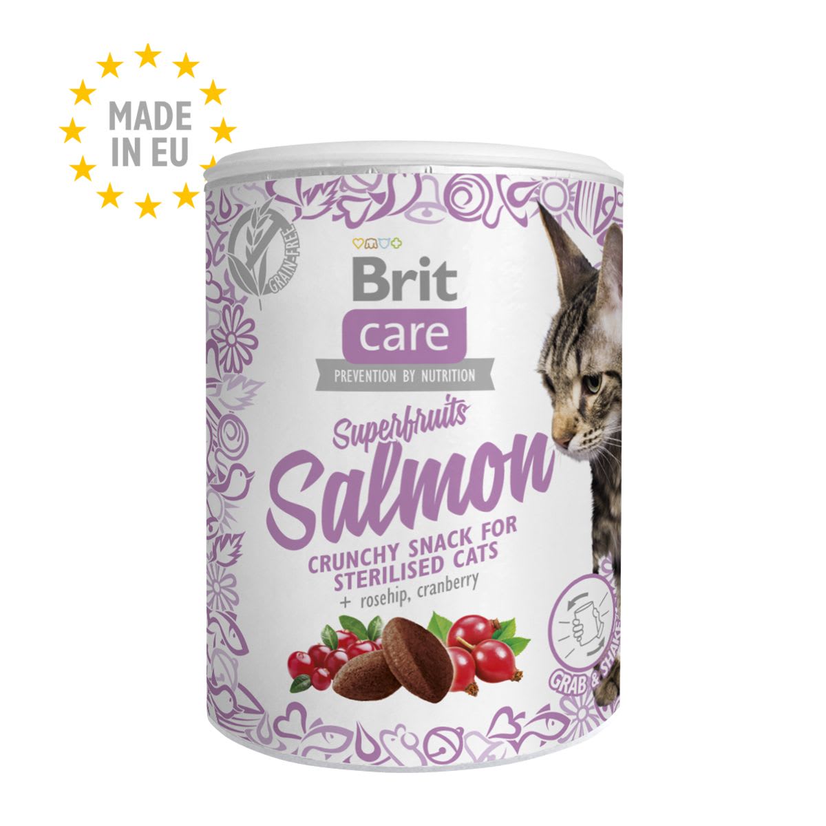 Brit Care Cat Snack Superfruits Salmon 100 g1