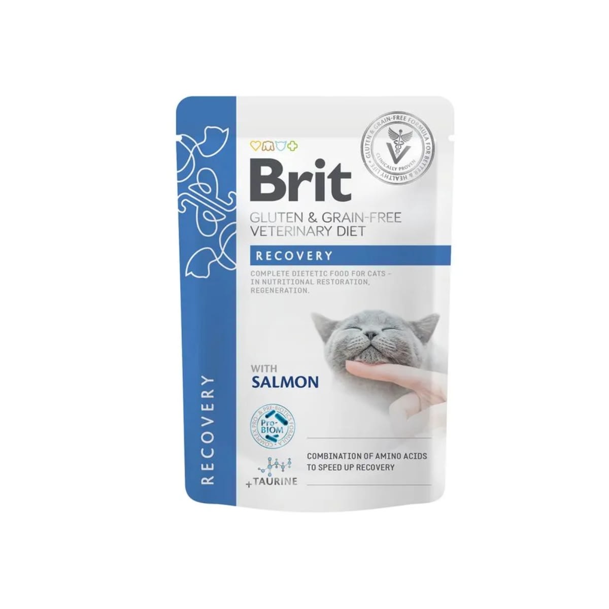 BRIT GF VD CAT POUCH FILLETS IN GRAVY RECOVERY 85 G1