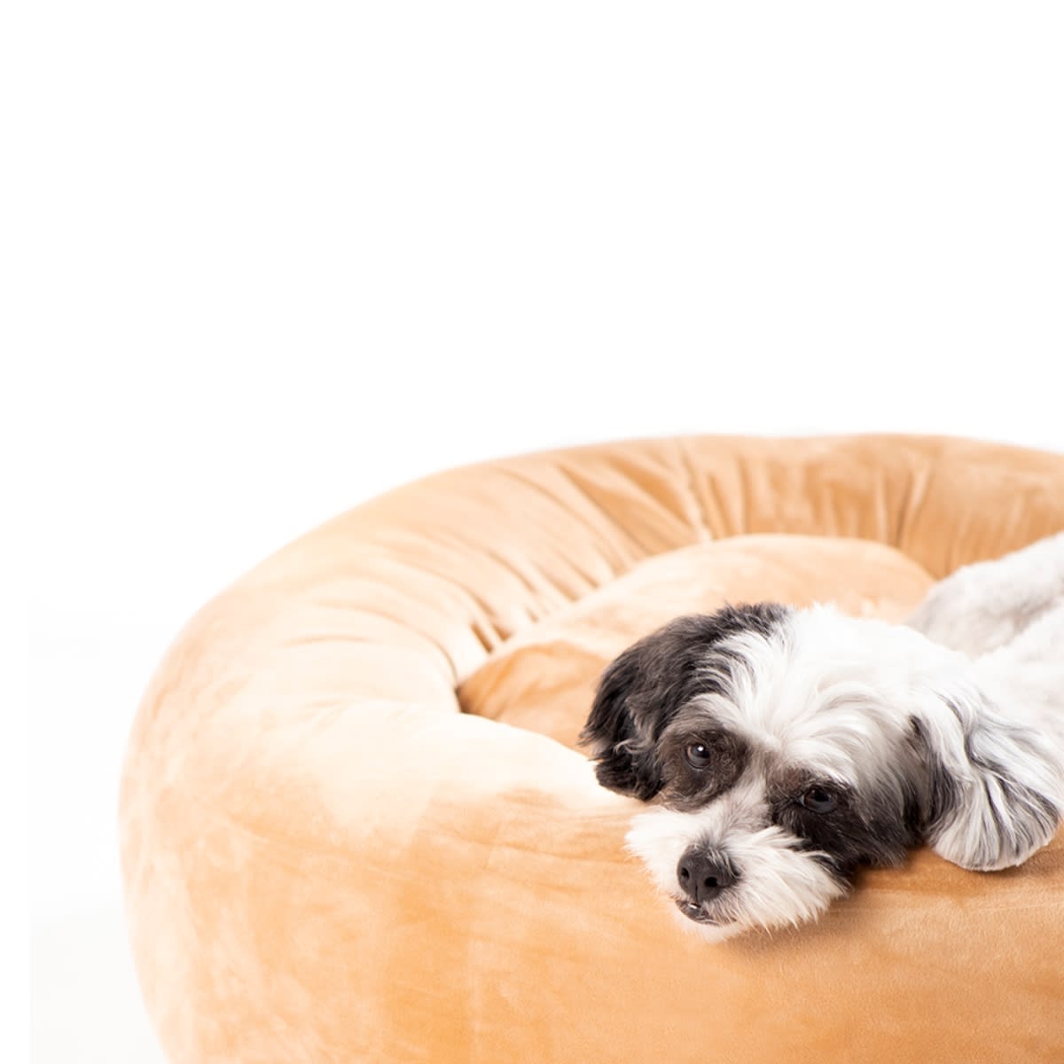 CAMA CLOUDY LITE BEIGE2